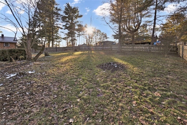 view of yard with a fenced backyard