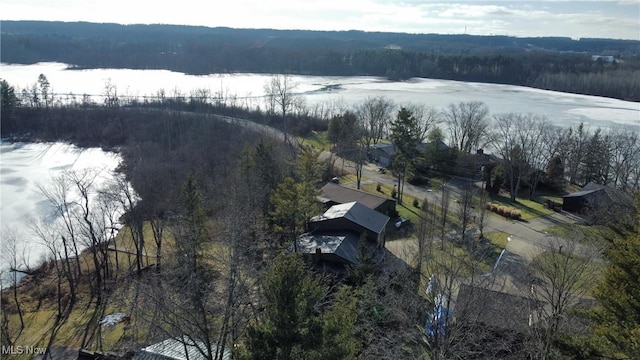 birds eye view of property featuring a forest view