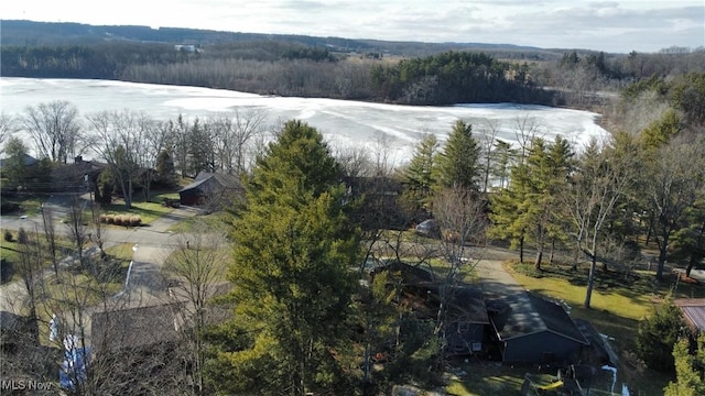 drone / aerial view with a forest view