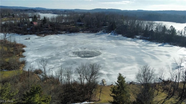 birds eye view of property featuring a forest view