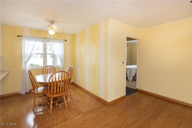 dining space featuring hardwood / wood-style flooring and ceiling fan