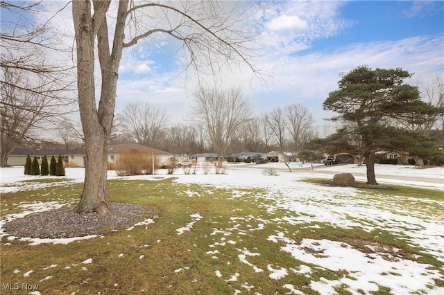 view of yard layered in snow