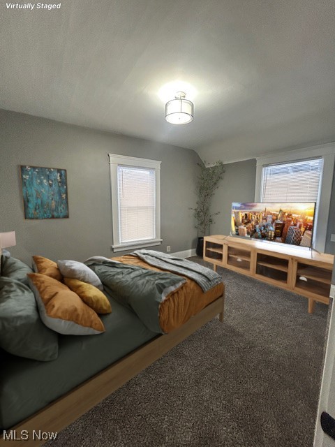 bedroom featuring multiple windows