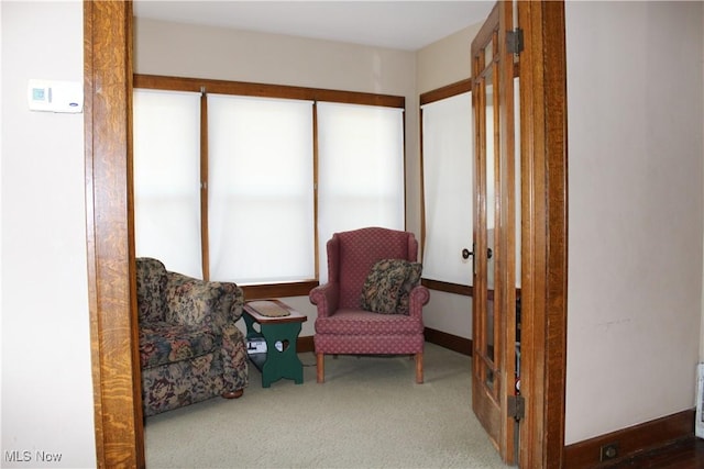 sitting room with carpet floors