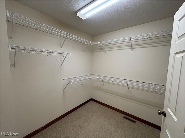 walk in closet with carpet floors