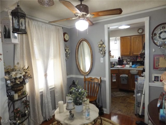 dining area with hardwood / wood-style flooring