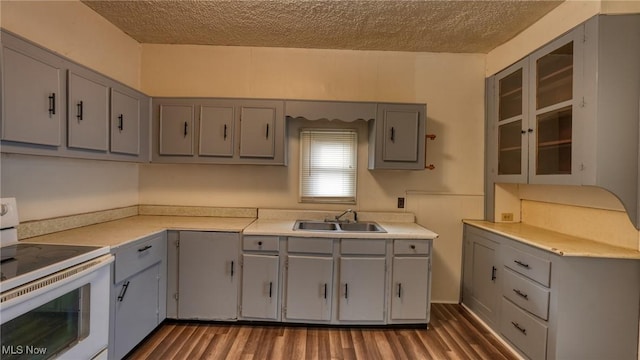 kitchen with sink, gray cabinetry, dark hardwood / wood-style flooring, and electric stove