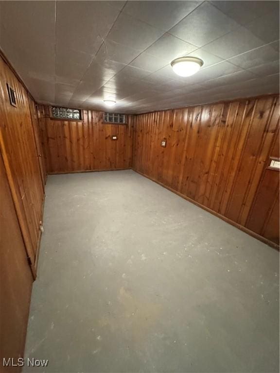 basement with wooden walls