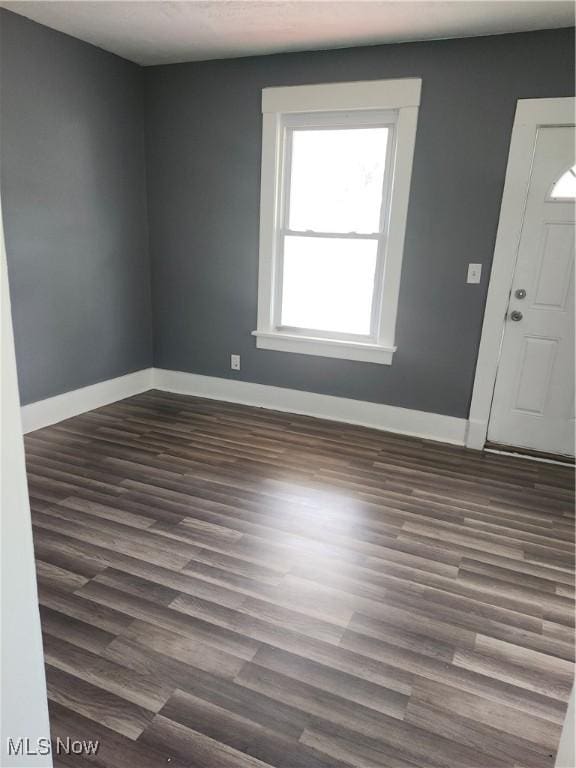 entryway featuring dark wood-type flooring