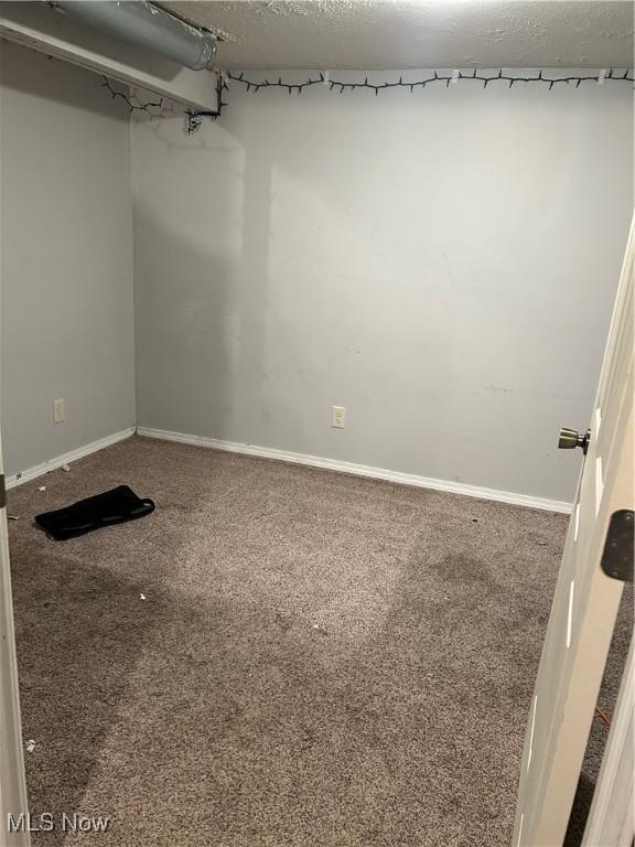 walk in closet featuring carpet