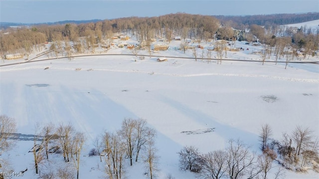 view of snowy aerial view