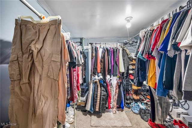 view of spacious closet