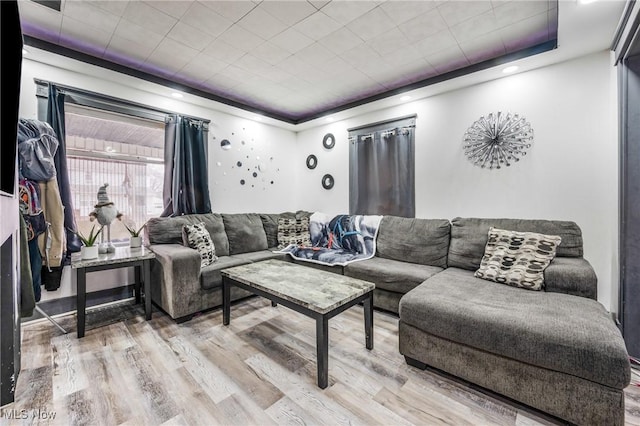 living room featuring a tray ceiling and light hardwood / wood-style flooring