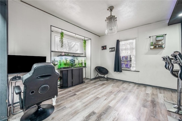 interior space featuring a textured ceiling, light hardwood / wood-style flooring, and a healthy amount of sunlight