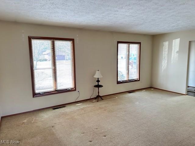 carpeted spare room featuring a wealth of natural light and a textured ceiling