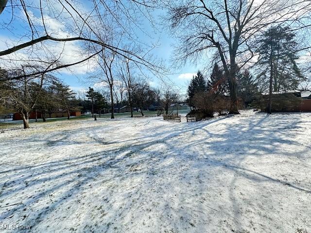 view of yard covered in snow