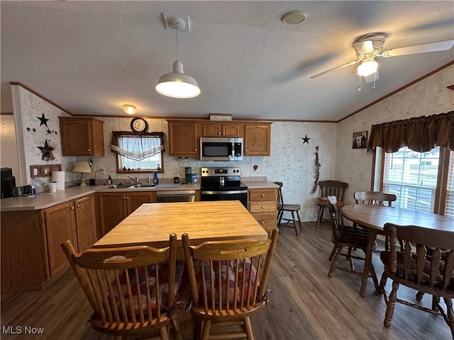 kitchen featuring vaulted ceiling, appliances with stainless steel finishes, hardwood / wood-style floors, sink, and ornamental molding