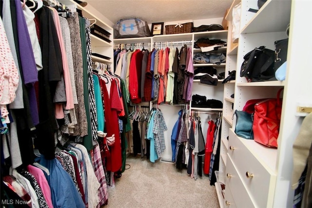 view of walk in closet