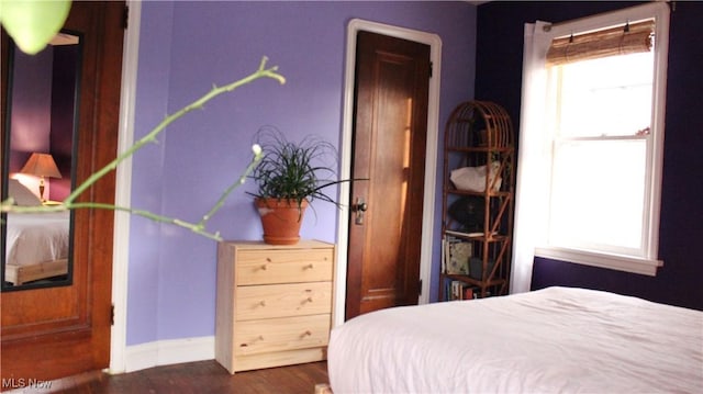 bedroom featuring dark wood-type flooring