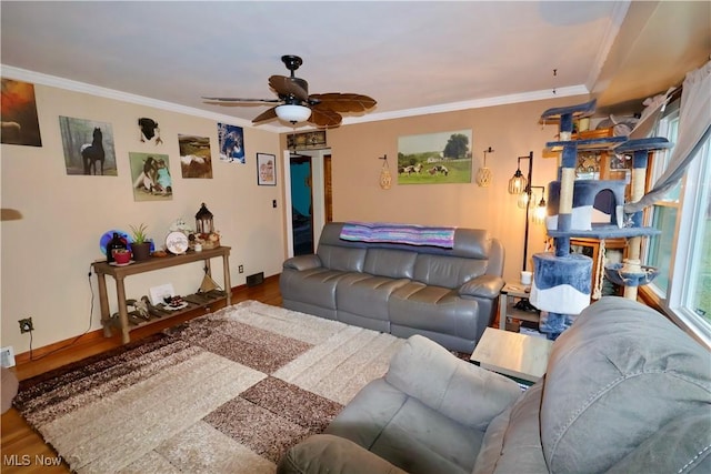 living room with hardwood / wood-style flooring, ceiling fan, and ornamental molding