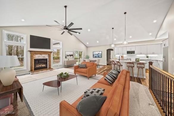 living room featuring high vaulted ceiling and light hardwood / wood-style floors