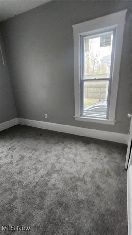 spare room with carpet floors