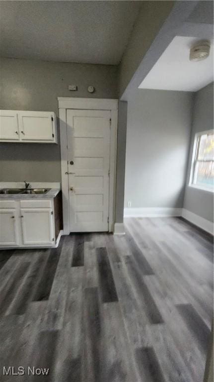 interior space featuring sink and dark wood-type flooring