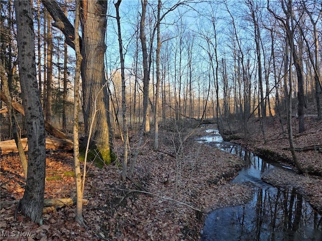 view of local wilderness