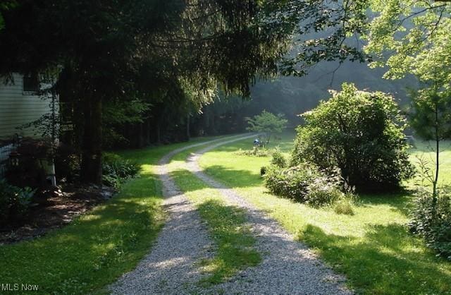 view of home's community featuring a lawn