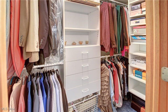 view of spacious closet