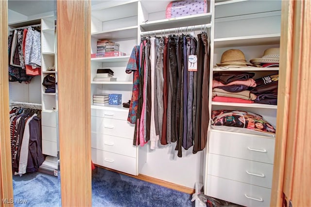 view of closet