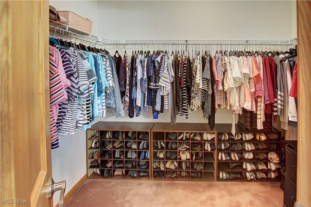 walk in closet featuring carpet flooring