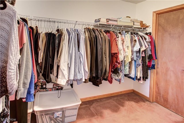 spacious closet with carpet