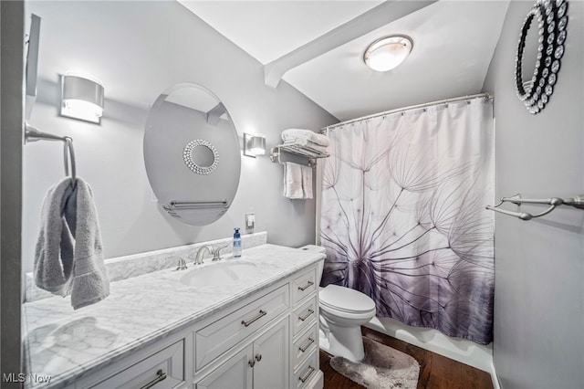 bathroom featuring vanity, hardwood / wood-style floors, and toilet