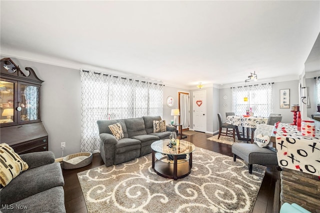 living room with dark hardwood / wood-style flooring