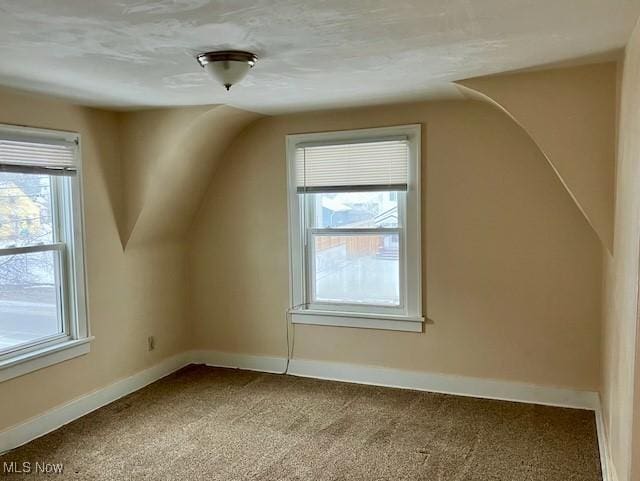 additional living space with lofted ceiling and carpet