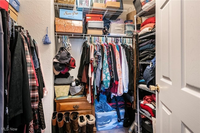 view of spacious closet