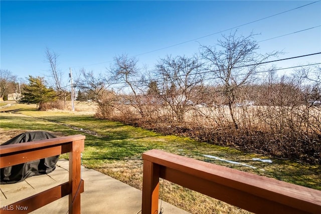 view of yard with a patio area