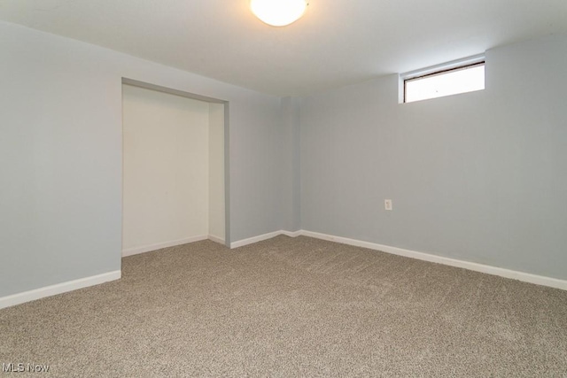 basement featuring carpet