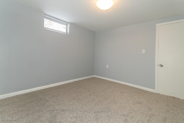 basement featuring carpet