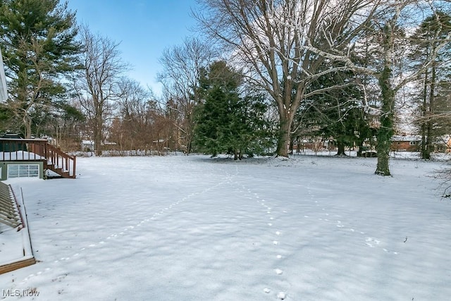 view of yard covered in snow