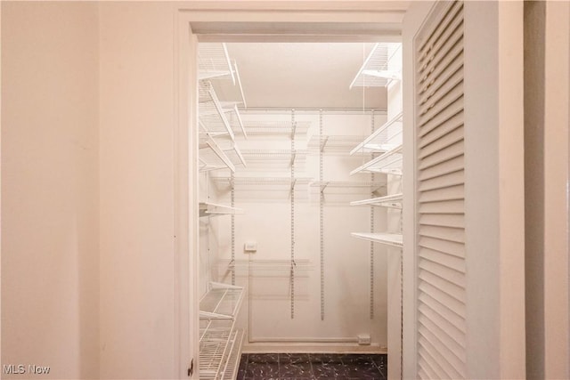 view of walk in closet