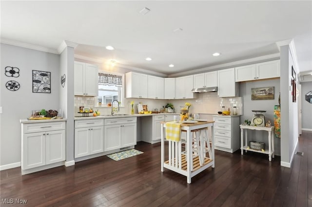 kitchen with sink, crown molding, tasteful backsplash, dark hardwood / wood-style flooring, and white cabinets