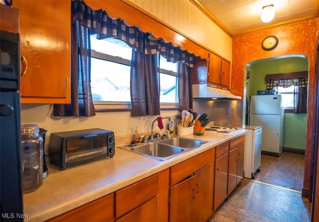 kitchen featuring white fridge, sink, and a wealth of natural light