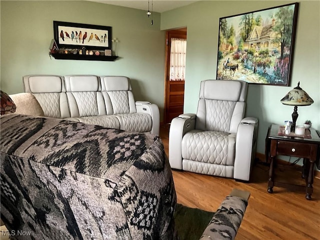 living room featuring hardwood / wood-style floors