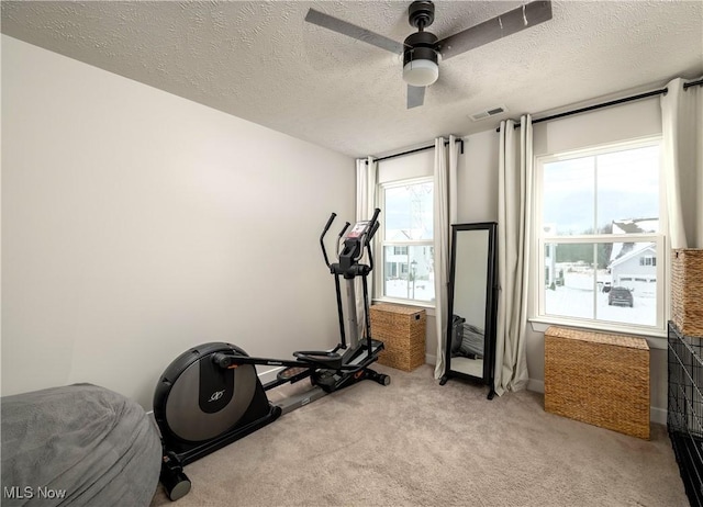 workout area featuring a wealth of natural light, visible vents, light colored carpet, and ceiling fan