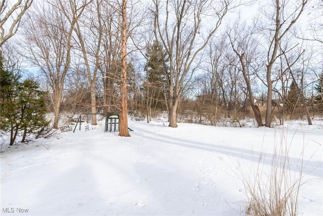 view of yard covered in snow