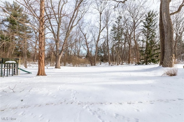 view of snowy yard