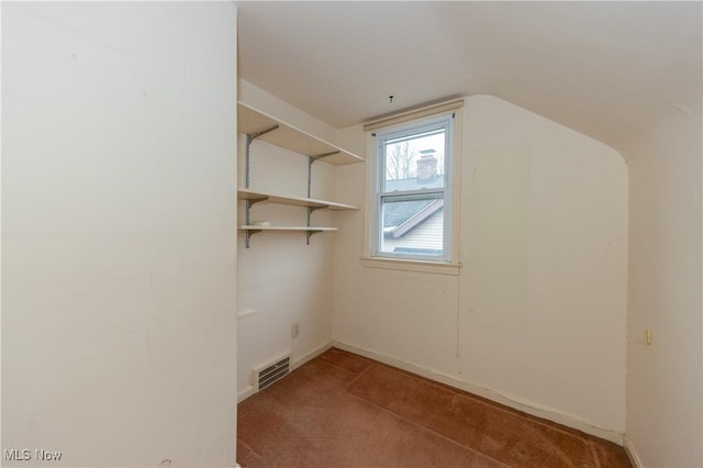 additional living space with lofted ceiling and carpet floors