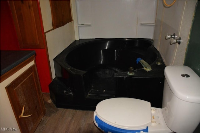 bathroom with vanity, wood-type flooring, and toilet